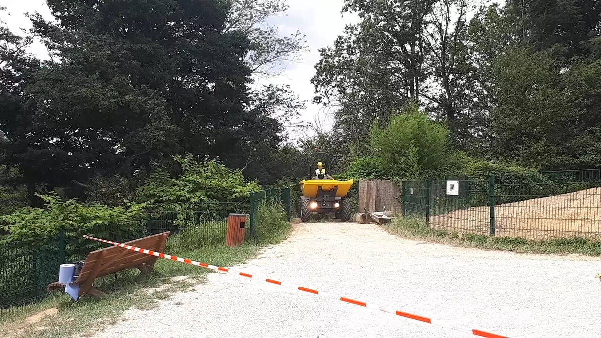 Wheel Dumper DW30 - Wacker Neuson