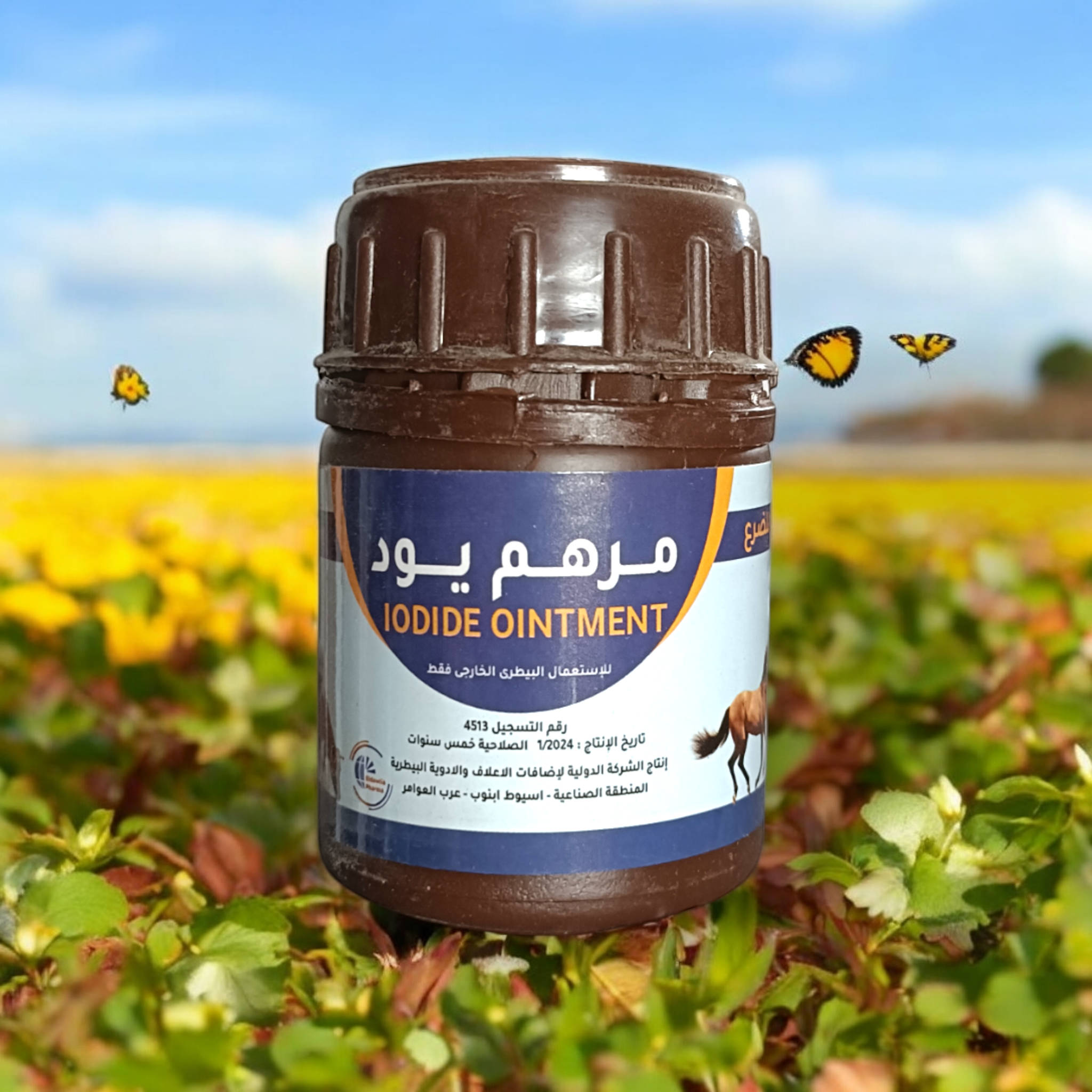مرهم يود الدوليه