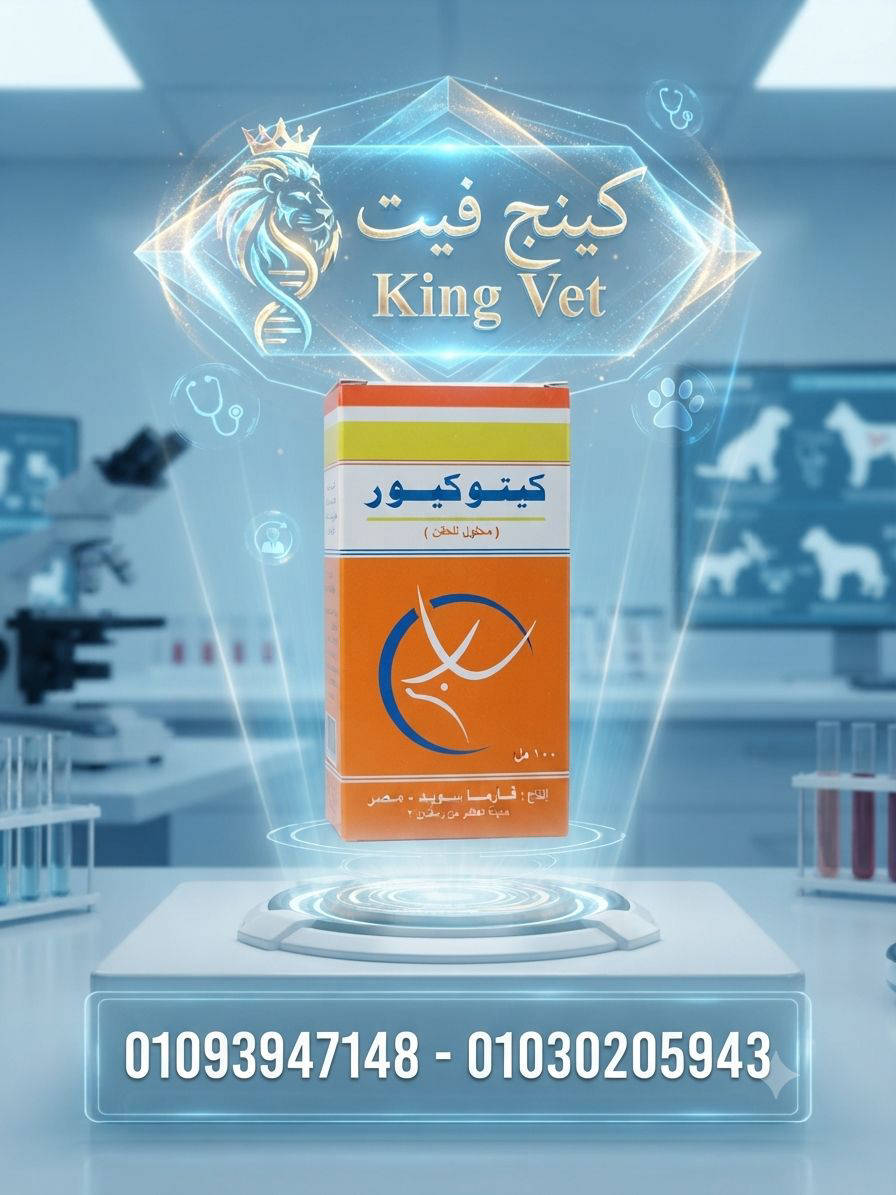 كيتو كيور 100سم