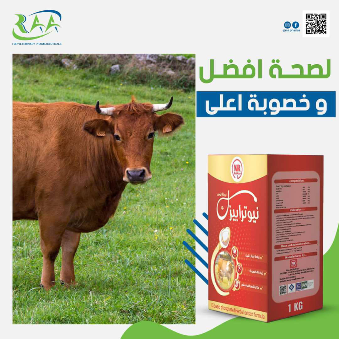نيوترا بيزك كيلو