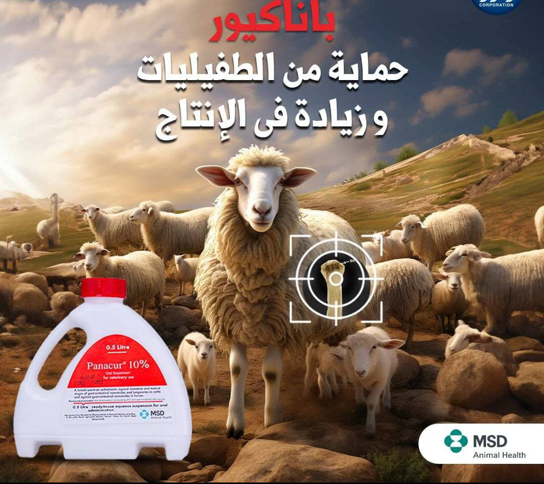 بناكيور 500سم