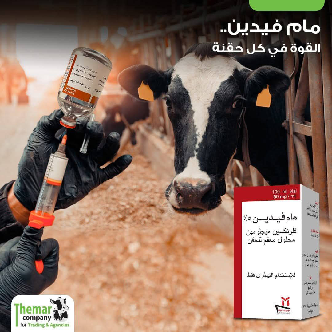 مام فيدين 100سم