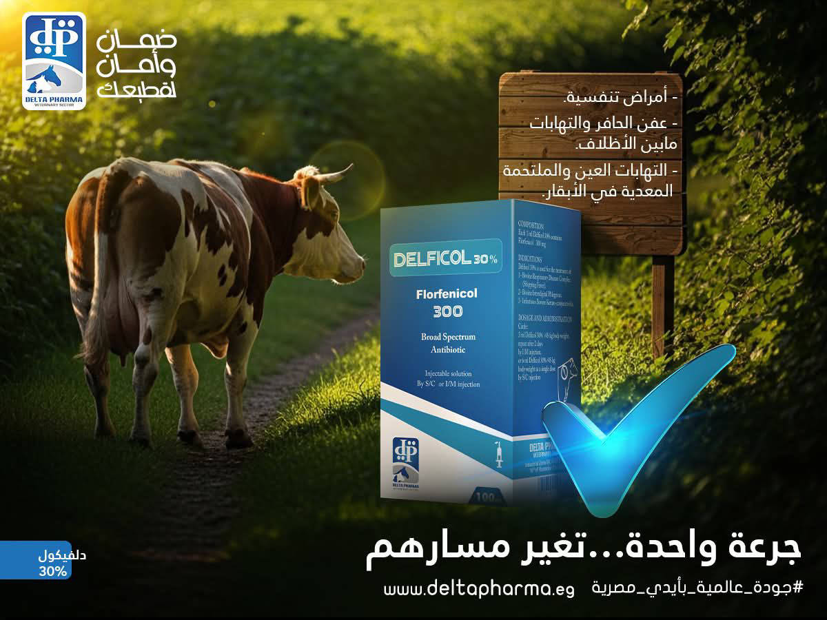 دل فيكول 100سم