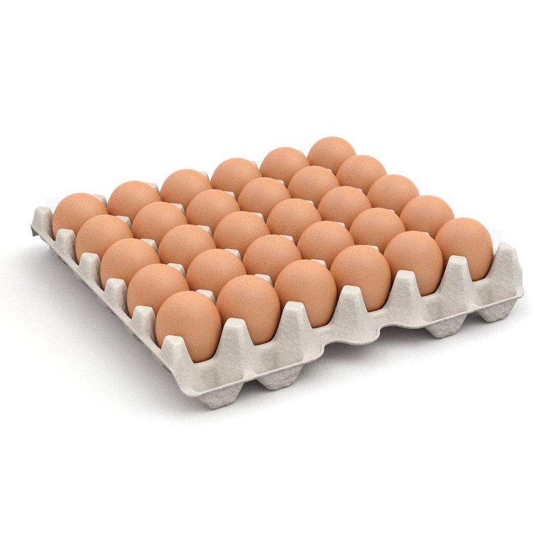 بيض احمر