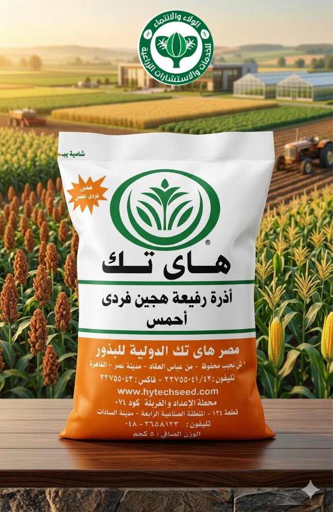ذرة رفيعة هاي تيك فردي احمس 5ك