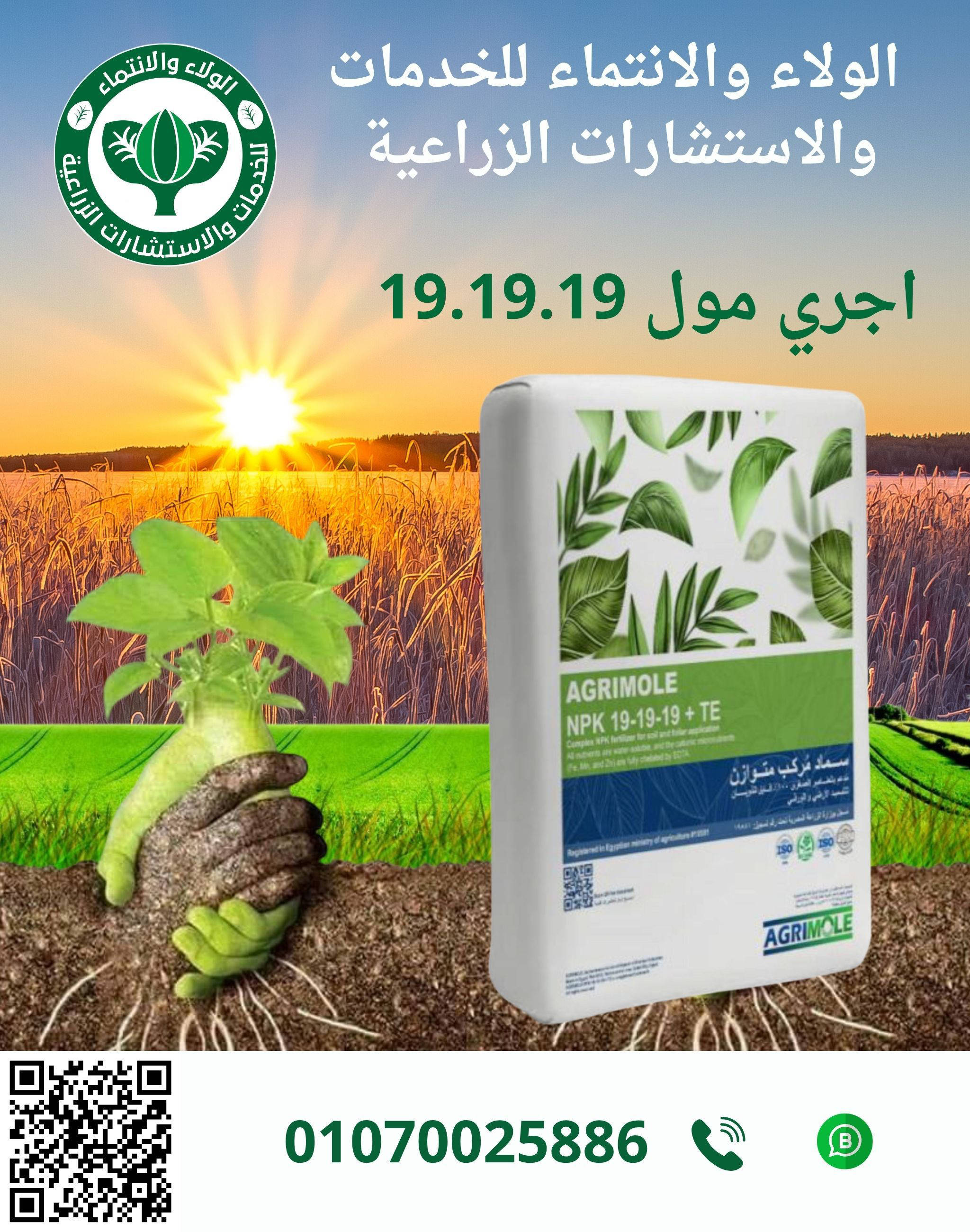 اجري مول 19-19-19 15ك