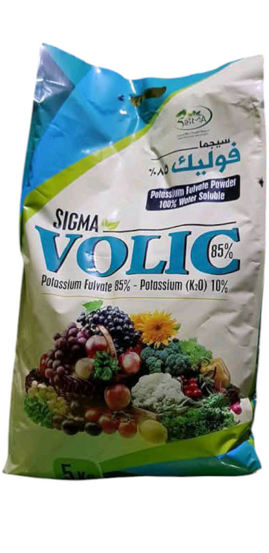 سيجما فوليك5ك