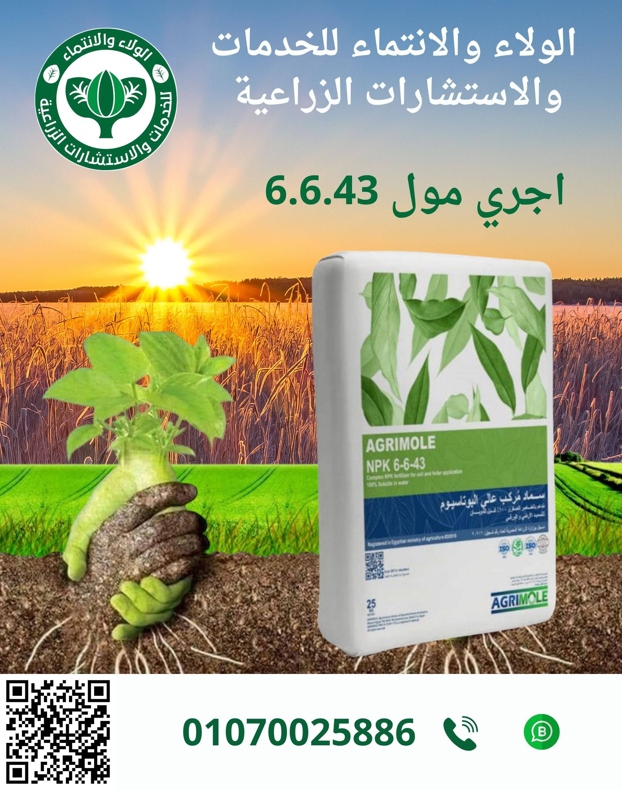 اجري مول 6-6-43 20ك