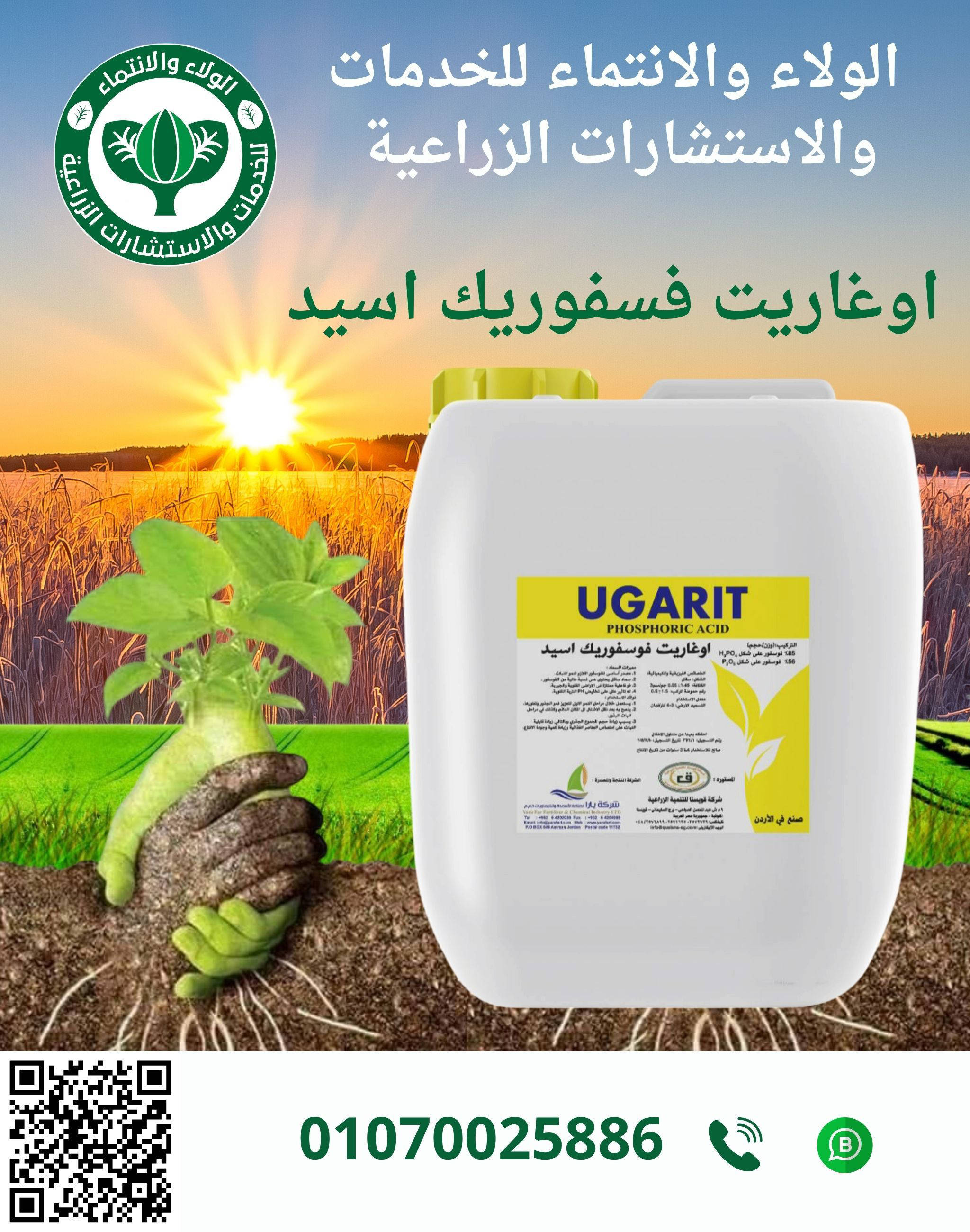 فسفوريك اردني 35ك