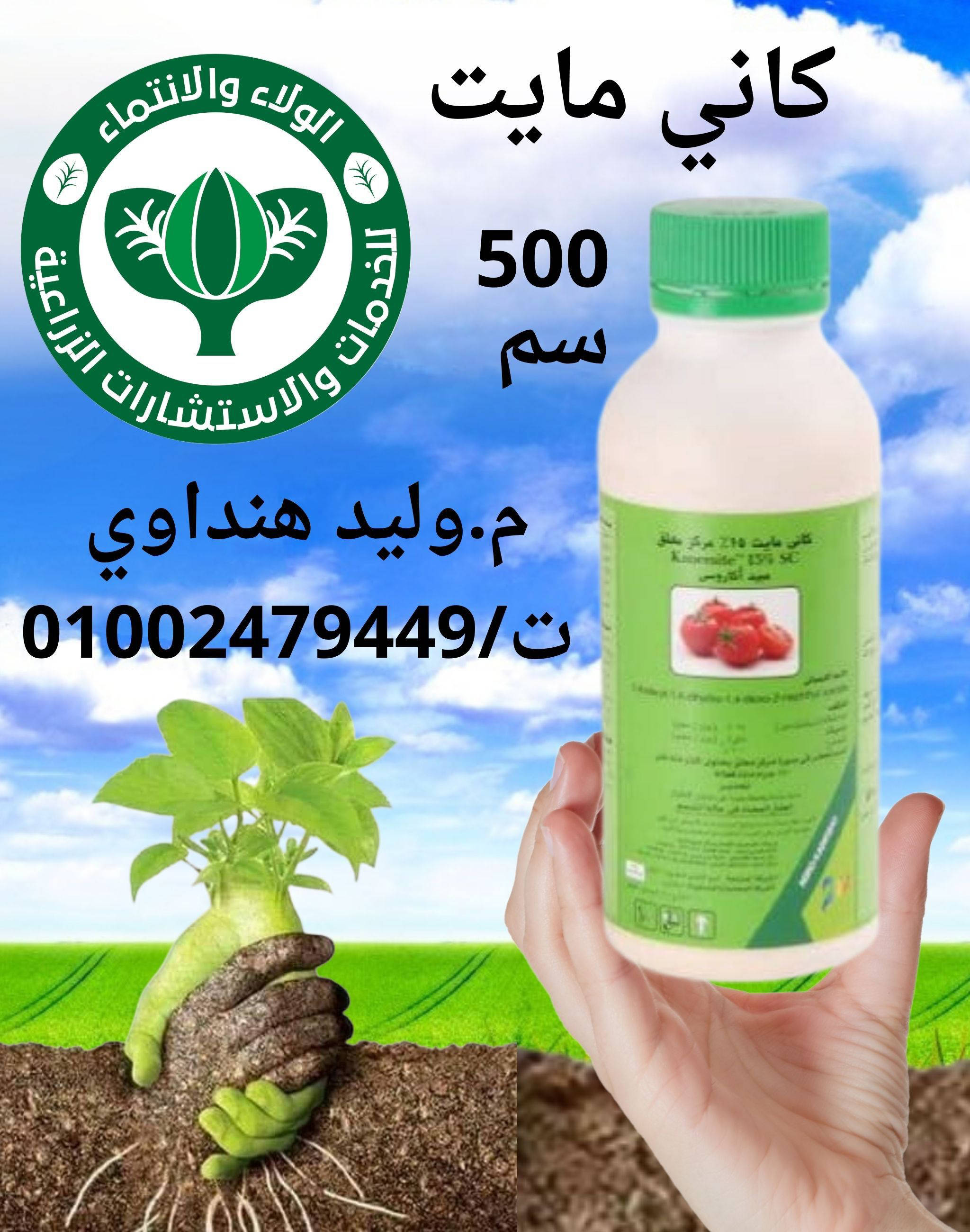 كاني مايت 500سم