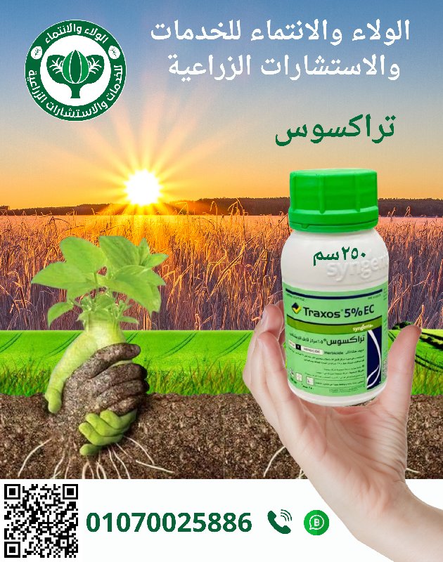 تراكسوس