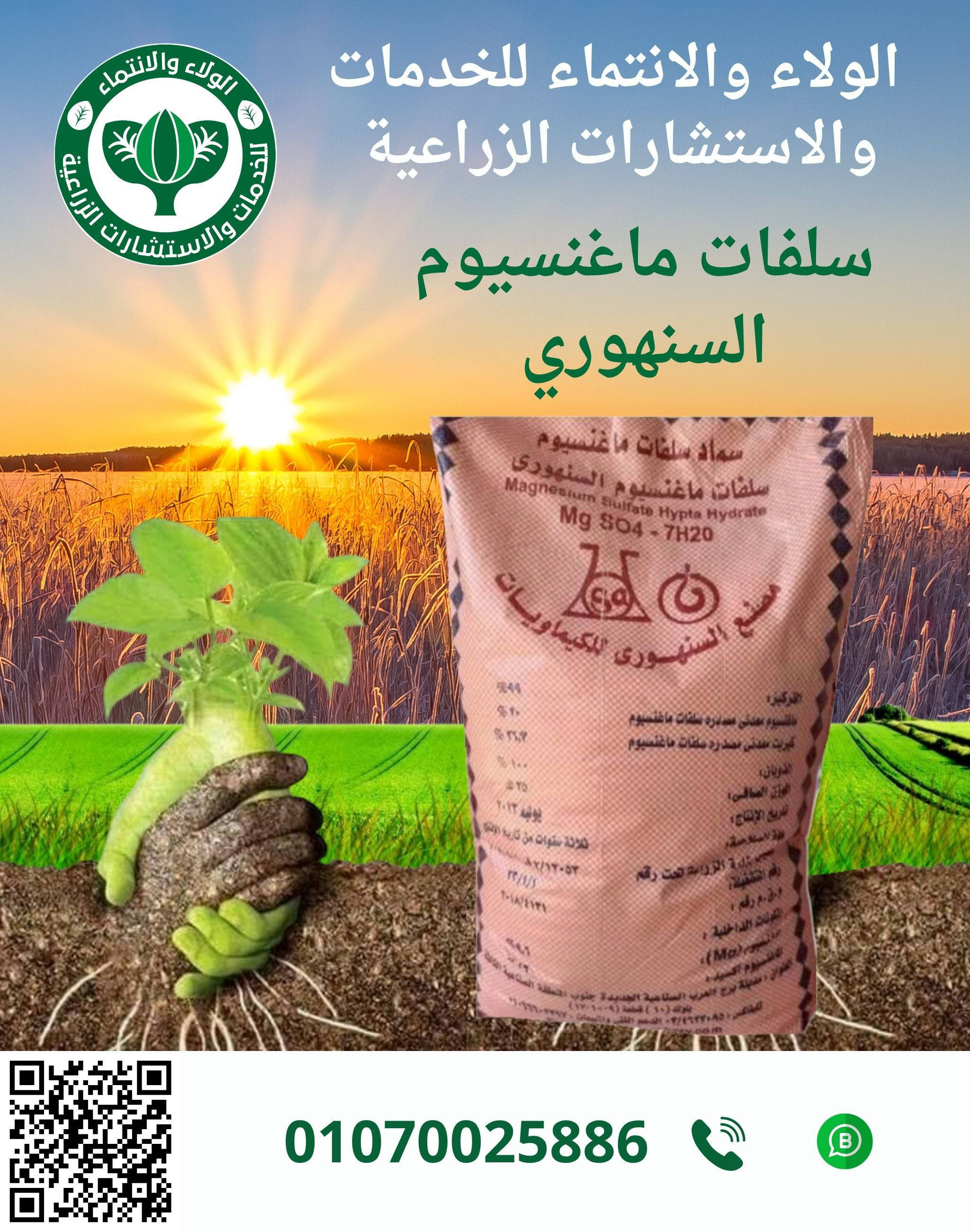 سلفات ماغنسيوم سنهوري