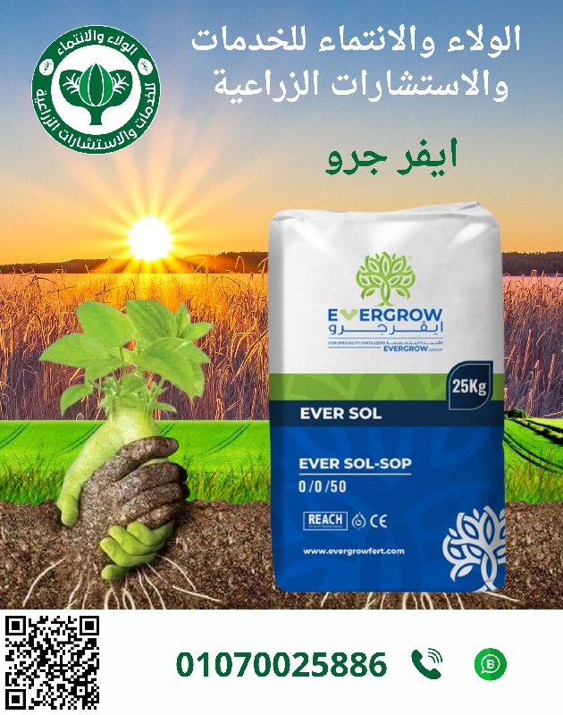 ايفر جرو 25ك