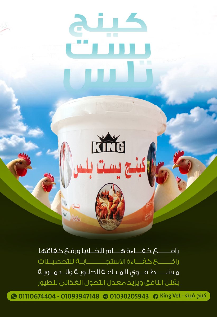 كينج يست بلس 850جرام