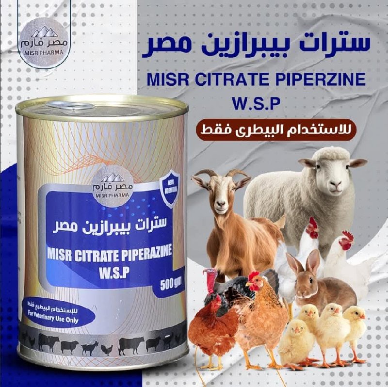 سترات مصر 500جرام