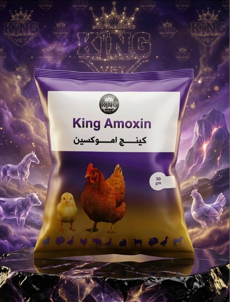 كينج اموكسين 30جرام