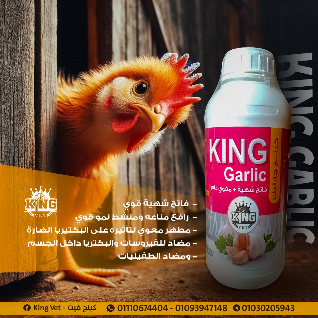 كينج جارليك لتر
