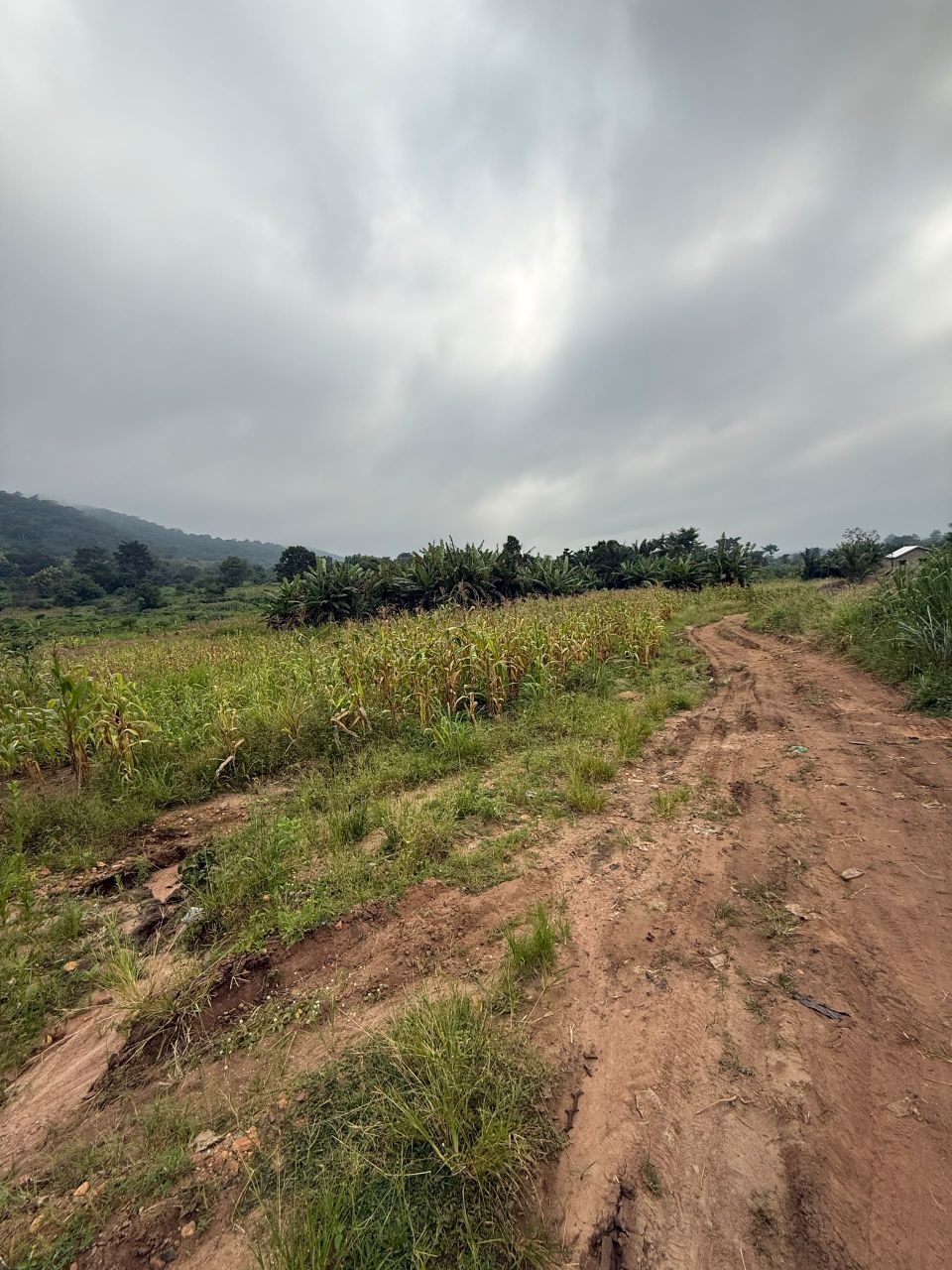 plots of land