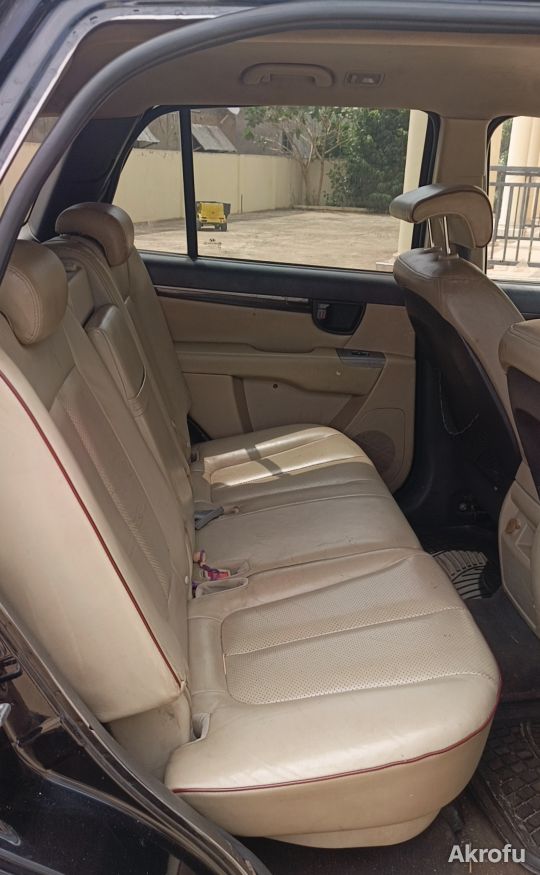 Hyundai Santa Fe 2010 photo 6