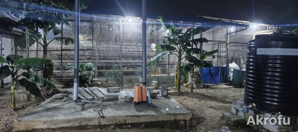 POULTRY FARM WITH 2-BEDROOM HOUSE FOR SALE! photo 3