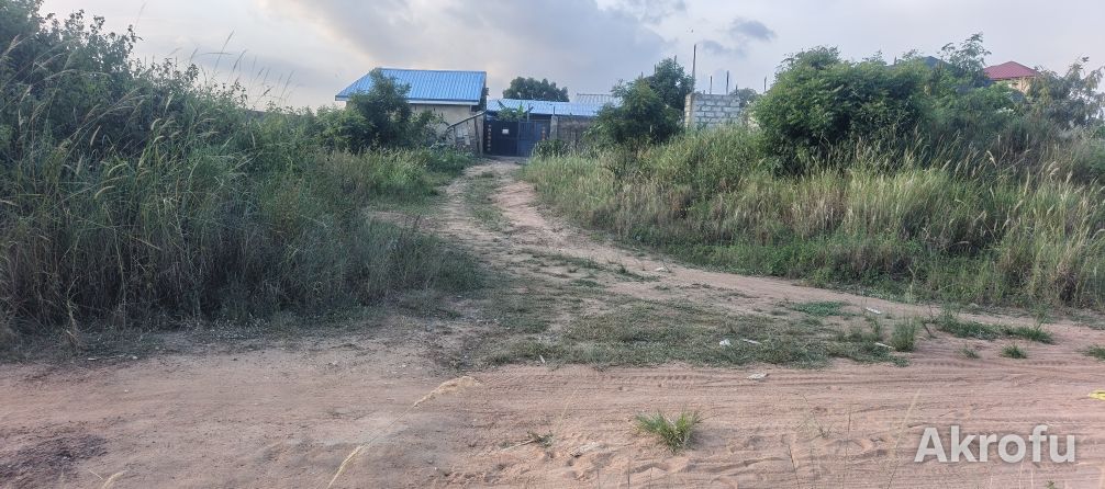 POULTRY FARM WITH 2-BEDROOM HOUSE FOR SALE! photo 7