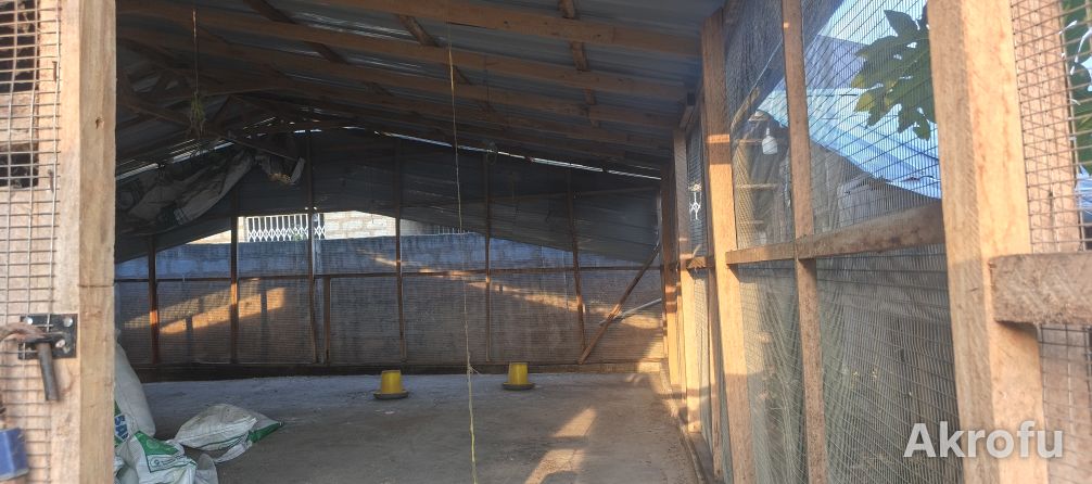 POULTRY FARM WITH 2-BEDROOM HOUSE FOR SALE! photo 8