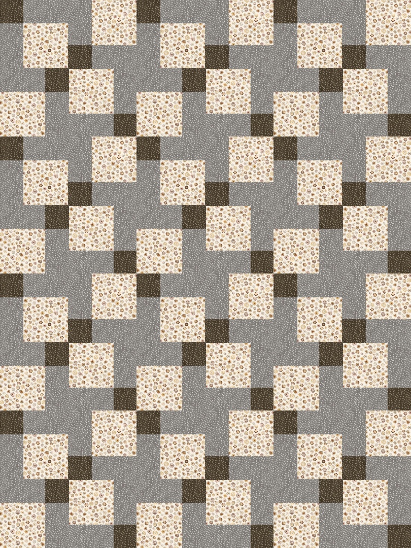 FF Tutorial — DNP Full Quilt quilt by Chris W