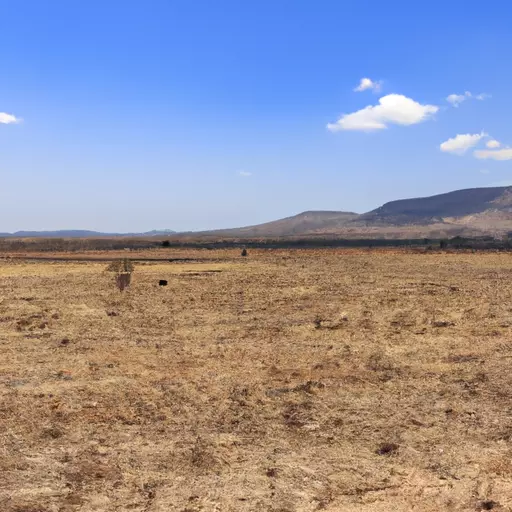 A picture of a savannah grassland