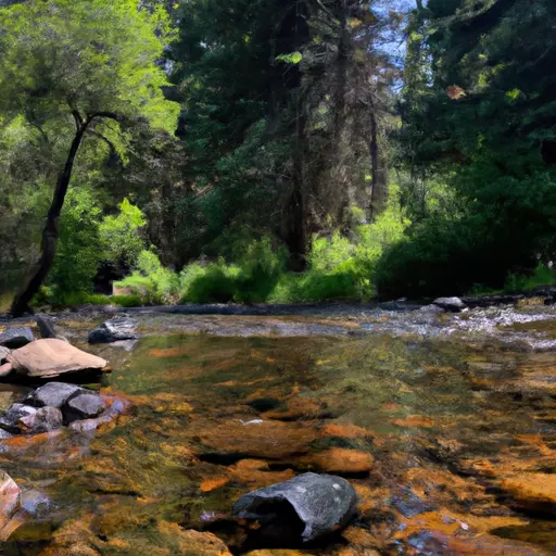 A picture of a river flowing through a forest