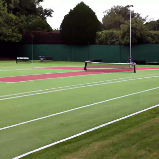 A picture of a grass tennis court