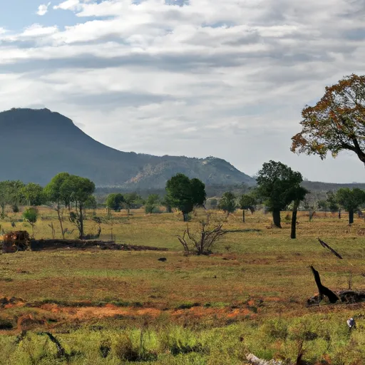 A picture of a savanna in Africa