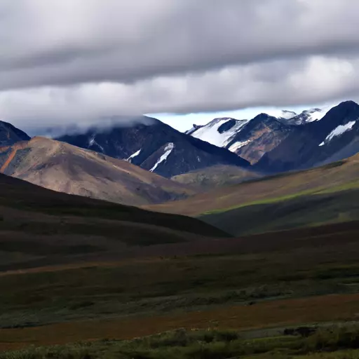 A picture of Denali National Park