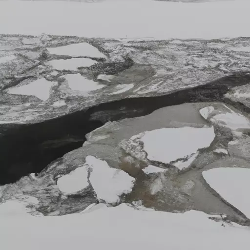 A picture of sea ice in the Arctic