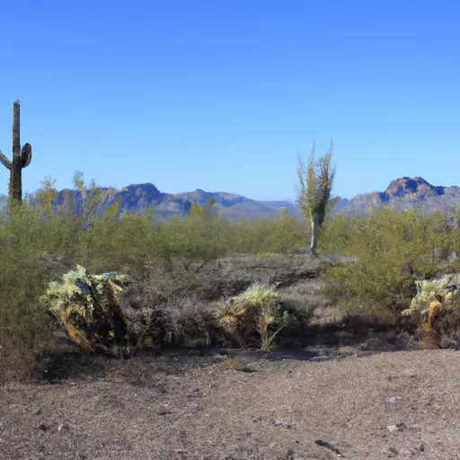 A picture of a desert landscape