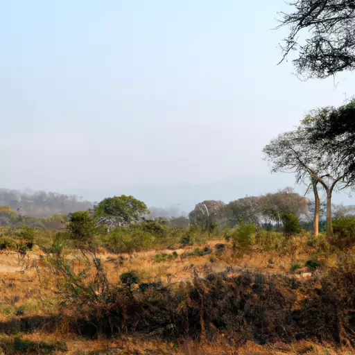 A picture of a savannah landscape