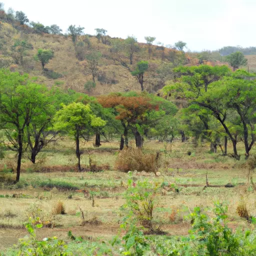 A picture of the African landscape