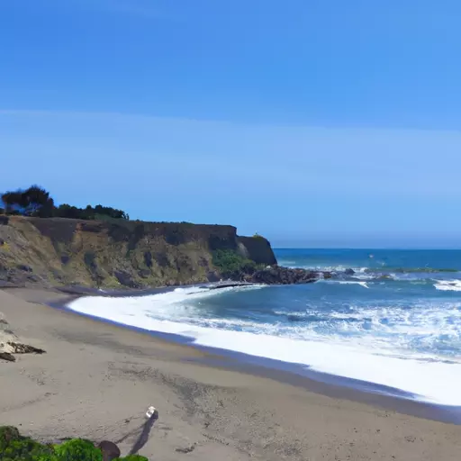 A picture of a beach on the Pacific Ocean