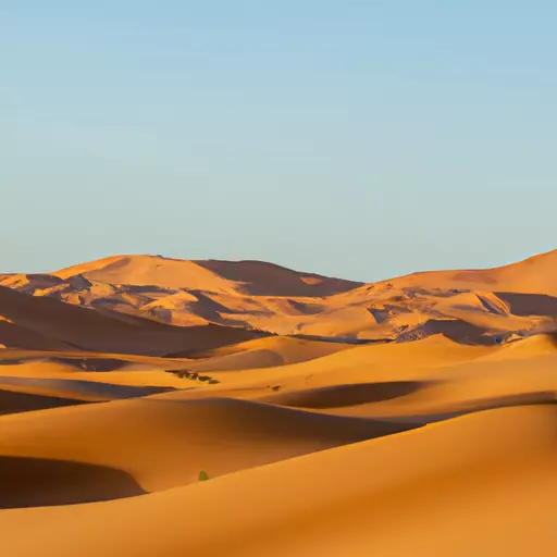 A picture of the sand dunes in the Sahara Desert