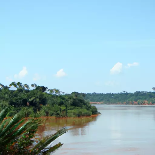 A picture of the Amazon River