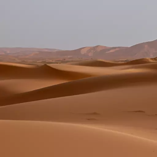 A picture of sand dunes in the Sahara Desert