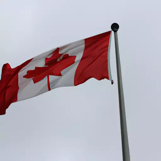 A picture of a Canadian flag