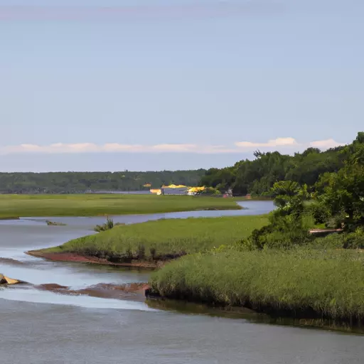 A picture of a river delta