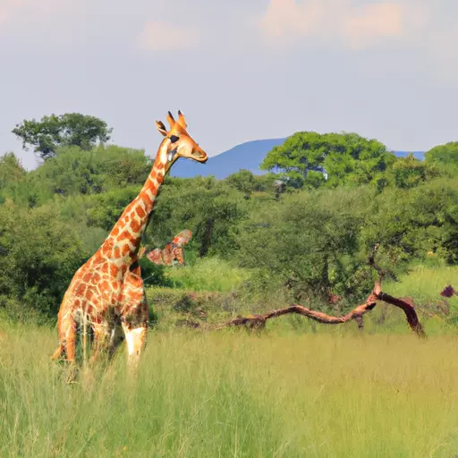 A picture of a safari landscape with a giraffe in the background