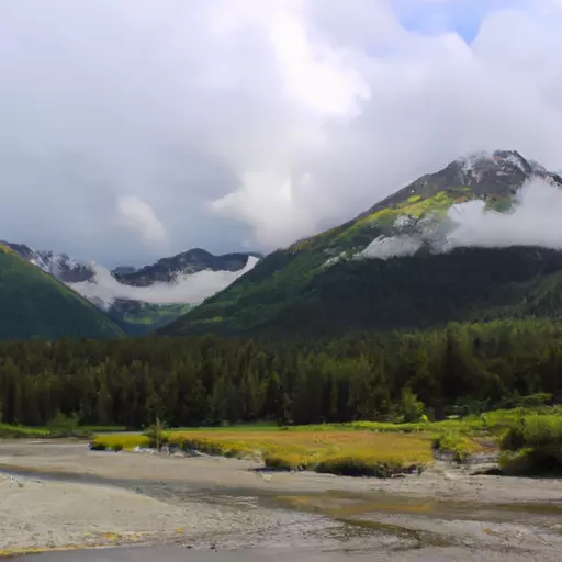 A picture of Alaskan wilderness