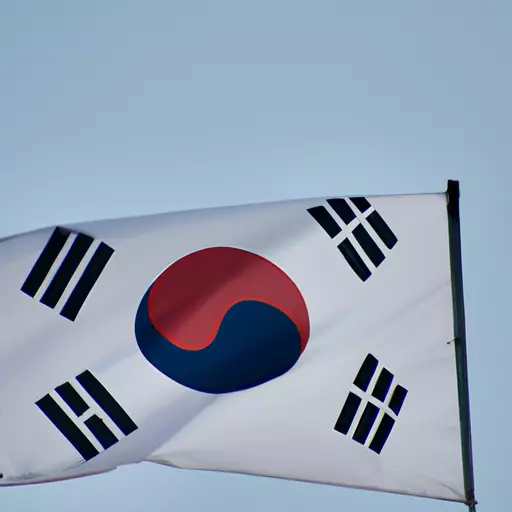 A picture of the South Korean Flag