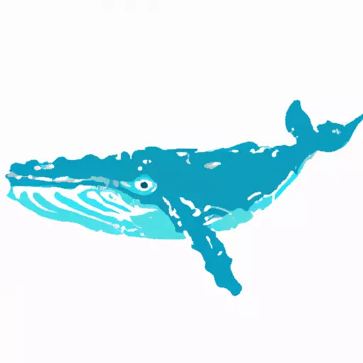 A picture of a Blue Whale