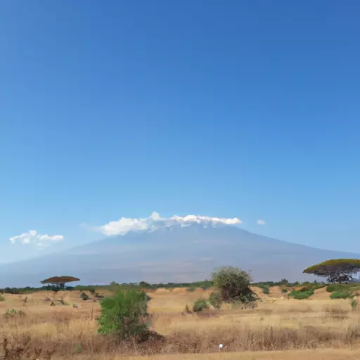 A picture of Mount Kilimanjaro