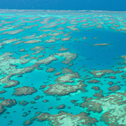 A picture of the Great Barrier Reef