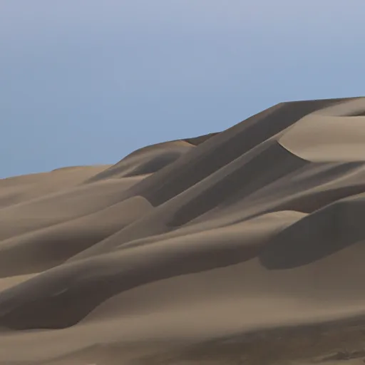 A picture of sand dunes