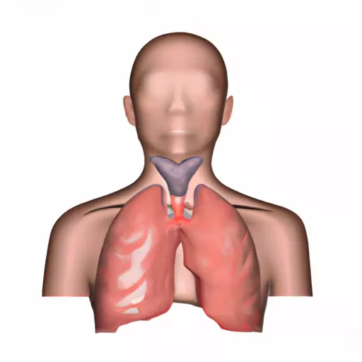 A picture of the human endocrine system with a highlighted thyroid gland